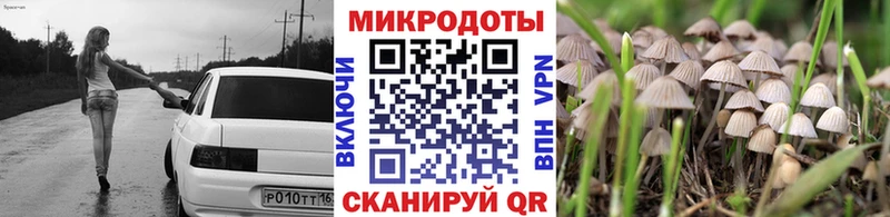 Псилоцибиновые грибы Psilocybe  KRAKEN маркетплейс  Кунгур 